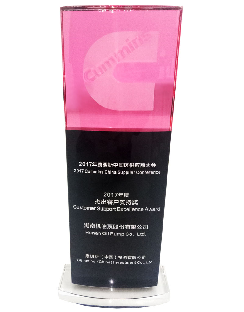 2017客戶頒發獎牌